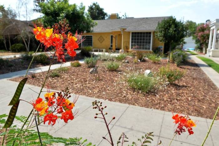 central-san-joaquin-valley-cities-offer-rebates-for-ripping-out-lawns
